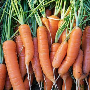 Market Recipe Blog: Honey Ginger Carrots