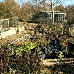 Putting Your Garden to Bed for the Winter