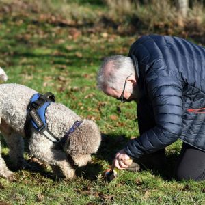 Man with dog, searching for truffles in the ground