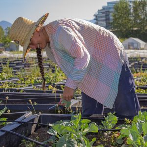 Megan smiling with a straw hat and braid, leaning over seedlings.