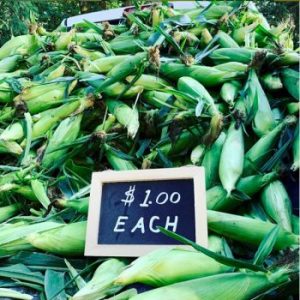 Saturday Farmers’ Market Vendor Feature: The Corn Shack
