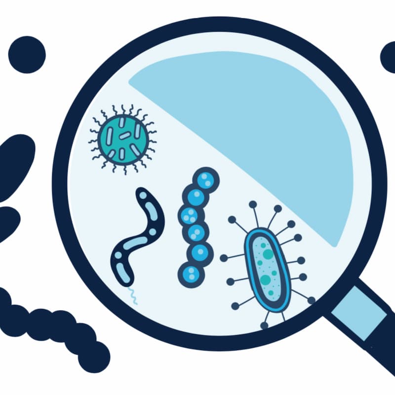 Magnifying glass and microbes