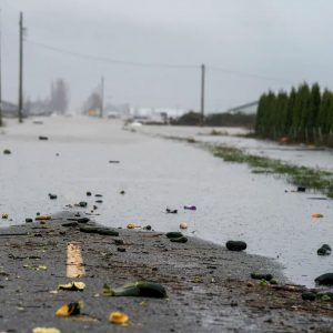 How the B.C. floods revealed the fragility of Canada’s food system