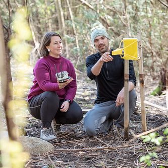 Juli Carrillo and Quentin Geissmann inspect a Sticky Pi insect trap.