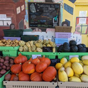 Best fall and winter farmers’ markets to shop in Metro Vancouver