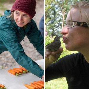Like Bees and Carrots: A Two-Part Interview Special on Northern BC’s Pollinators and Canada’s Organic Vegetables