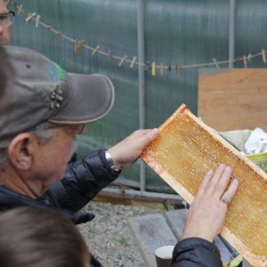 B.C. beekeepers brace for another challenging season after difficult winter