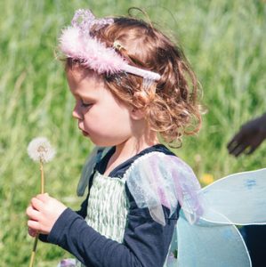 Child in bee wings holding a dandelion seed clock.