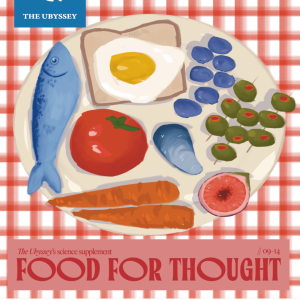 Magazine cover with a plate containing a fish, apple, egg, toast, carrots, figs, and olives